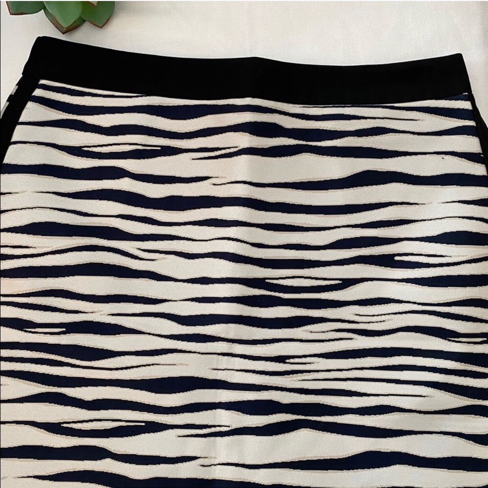 Ann Taylor Pencil Skirt